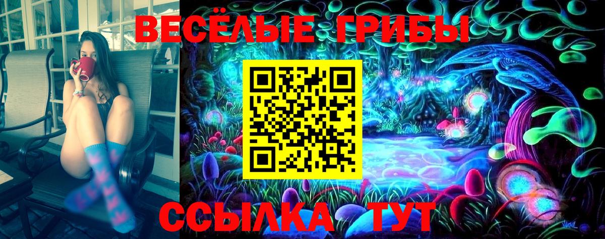 Кумертау  Псилоцибиновые грибы Psilocybe  Вход с VPN 