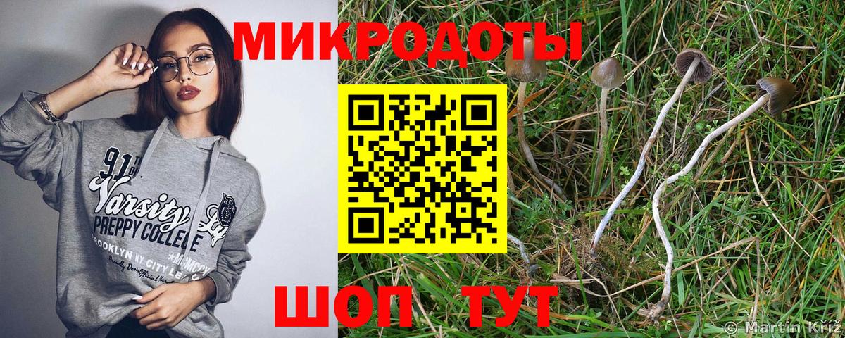Галлюциногенные грибы прущие грибы Кумертау